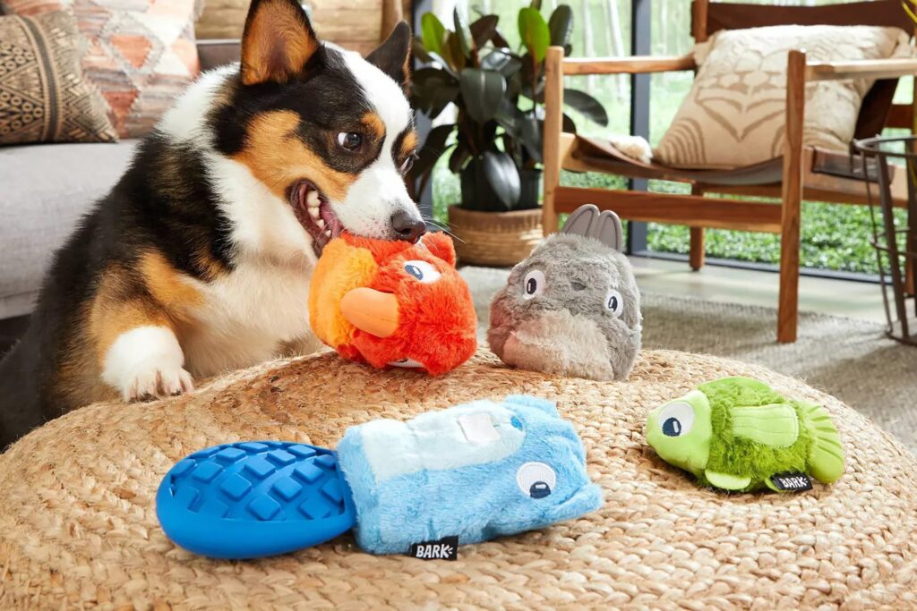 Provide Toys To Dog