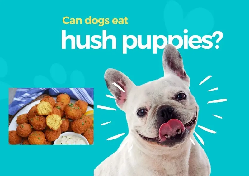 Can Dog Eat Hush Puppies
