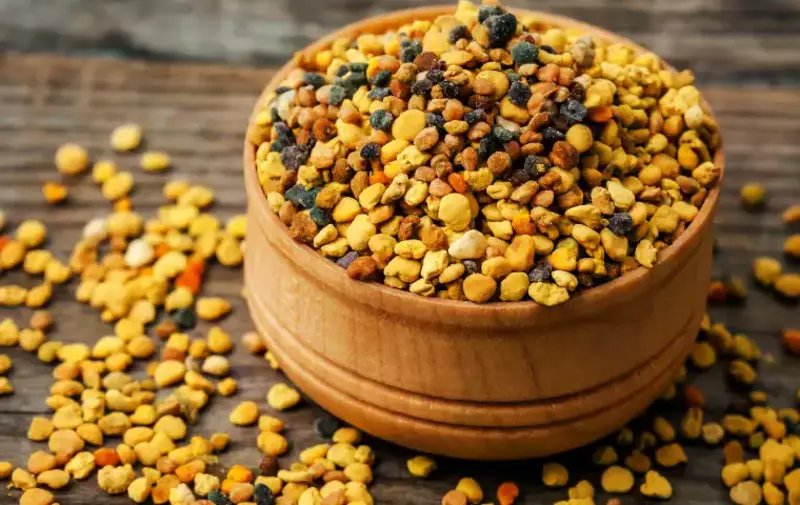 Benefits of Bee Pollen For Dogs