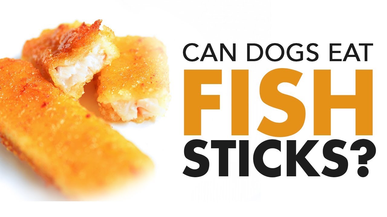 Can Dogs Eat Fish Sticks
