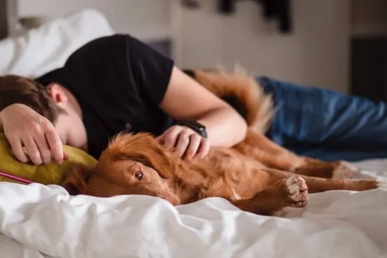 Why Your Dog Sneaks Into Your Bed at Night