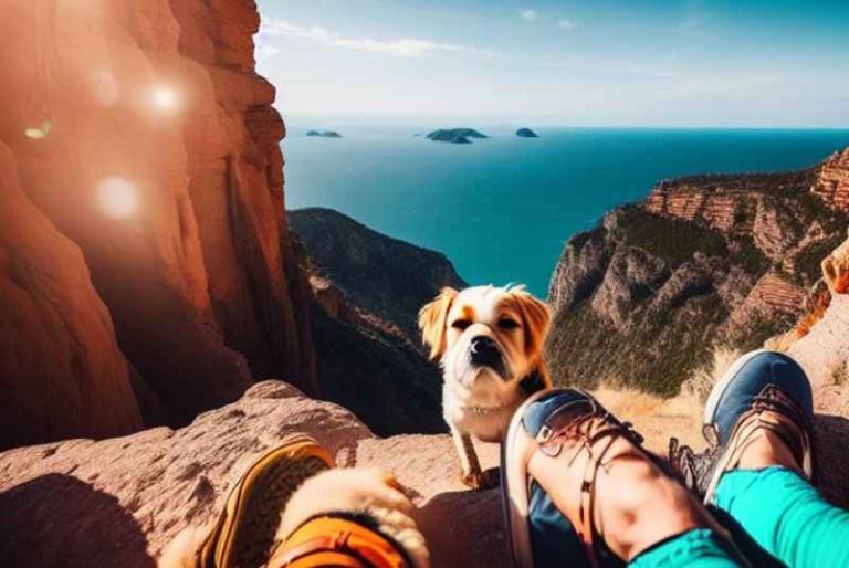 Perfect Places to Travel with Your Dog?