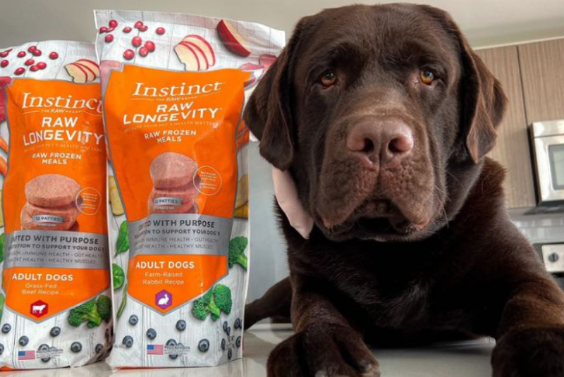 What is Instinct Dog Food?