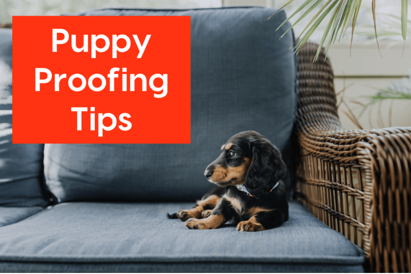 20 Tips to Puppy-Proof Your Home?