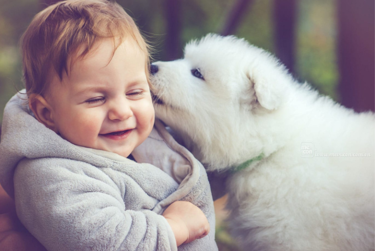 Caring for Your Dog? Ensuring Health and Happiness