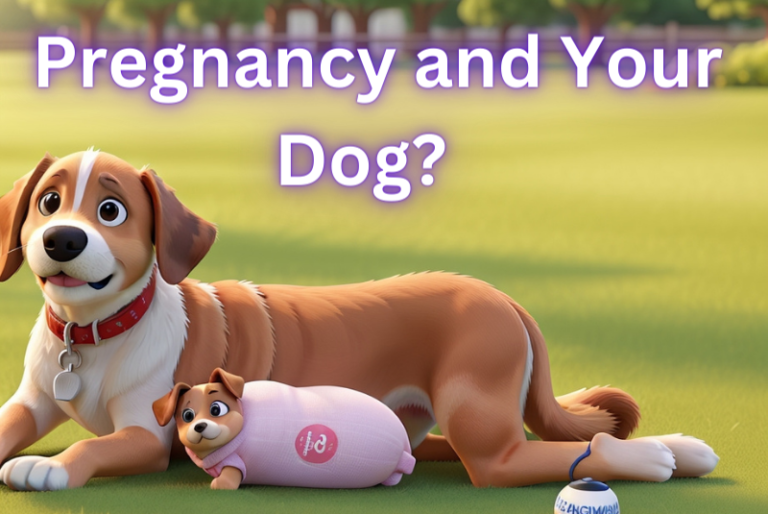 Pregnancy and Your Dog?